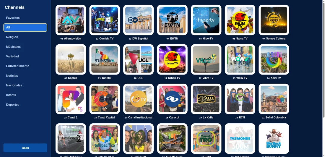 Channel guide as the subscriber sees it, grouped by category.